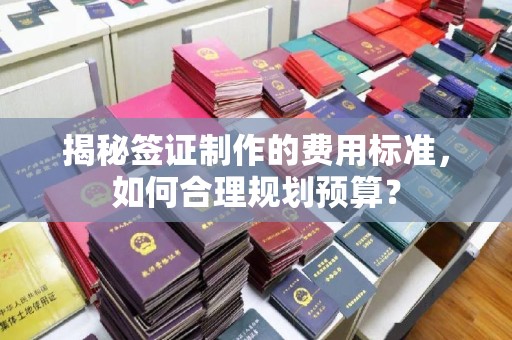 盱眙揭秘签证制作的费用标准，如何合理规划预算？